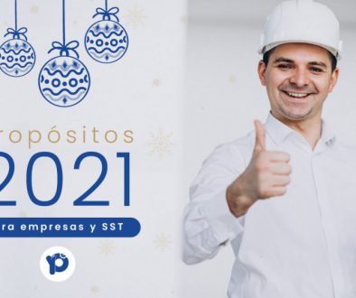 Propósitos de año nuevo ProductividApp